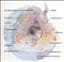 annica80